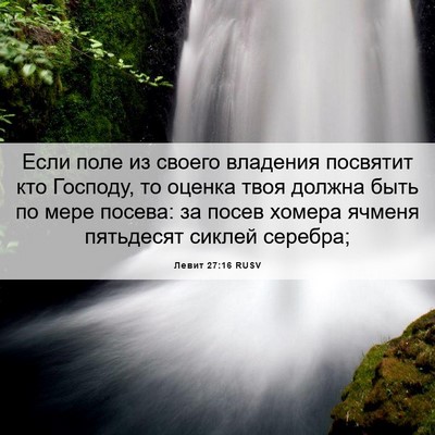 Picture 06 - Левит 27:16 RUSV - Если поле из своего - Bible Verse Picture