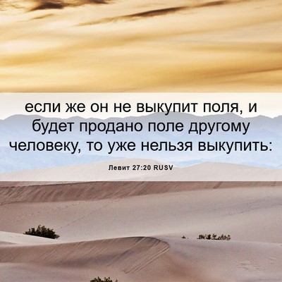 Picture 06 - Левит 27:20 RUSV - если же он не выкупит поля, - Bible Verse Picture