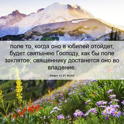 Picture 06 - Левит 27:21 RUSV - поле то, когда оно в юбилей - Bible Verse Picture