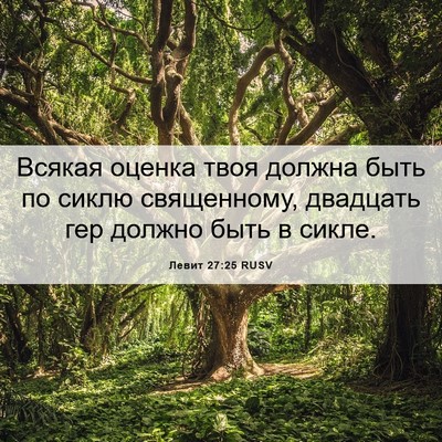 Picture 06 - Левит 27:25 RUSV - Всякая оценка твоя должна - Bible Verse Picture