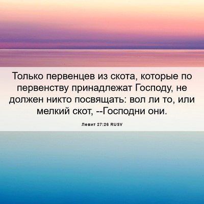 Picture 06 - Левит 27:26 RUSV - Только первенцев из скота, - Bible Verse Picture
