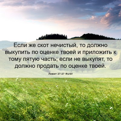 Picture 06 - Левит 27:27 RUSV - Если же скот нечистый, то - Bible Verse Picture