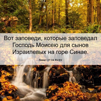 Picture 06 - Левит 27:34 RUSV - Вот заповеди, которые - Bible Verse Picture