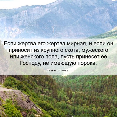 Picture 06 - Левит 3:1 RUSV - Если жертва его жертва - Bible Verse Picture