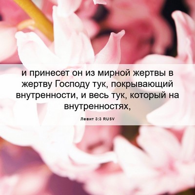 Picture 06 - Левит 3:3 RUSV - и принесет он из мирной - Bible Verse Picture