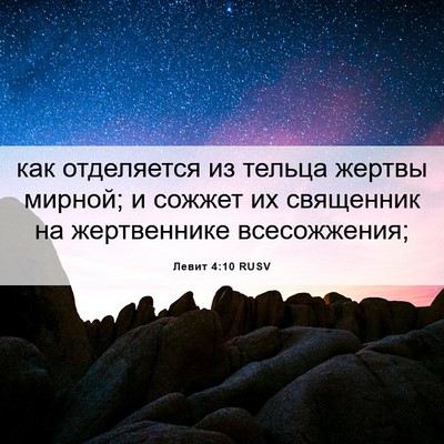Picture 06 - Левит 4:10 RUSV - как отделяется из тельца - Bible Verse Picture