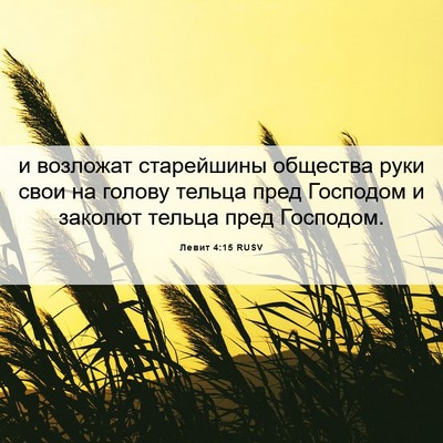 Picture 06 - Левит 4:15 RUSV - и возложат старейшины - Bible Verse Picture