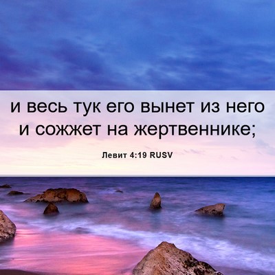 Picture 06 - Левит 4:19 RUSV - и весь тук его вынет из - Bible Verse Picture