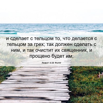 Picture 06 - Левит 4:20 RUSV - и сделает с тельцом то, что - Bible Verse Picture