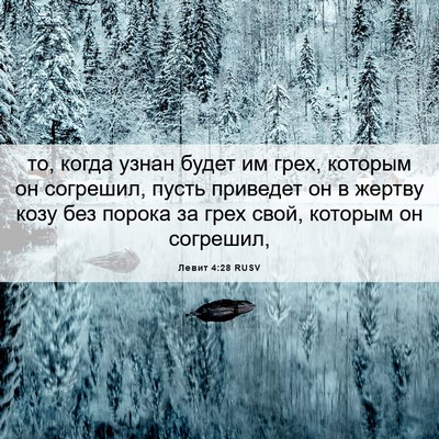 Picture 06 - Левит 4:28 RUSV - то, когда узнан будет им - Bible Verse Picture