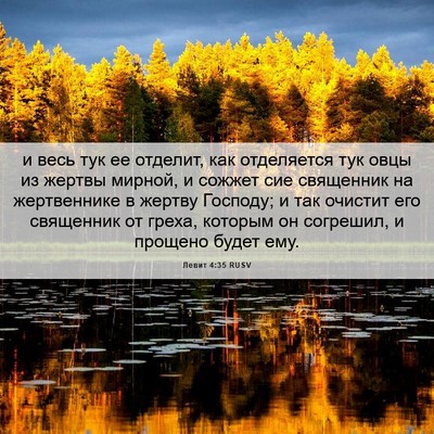 Picture 06 - Левит 4:35 RUSV - и весь тук ее отделит, как - Bible Verse Picture