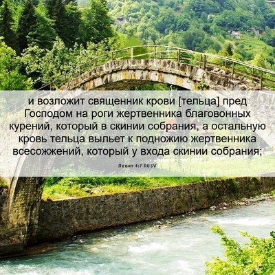 Picture 06 - Левит 4:7 RUSV - и возложит священник крови - Bible Verse Picture