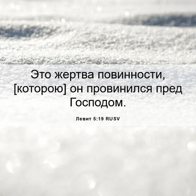 Picture 06 - Левит 5:19 RUSV - Это жертва повинности, - Bible Verse Picture