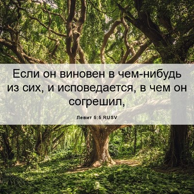 Picture 06 - Левит 5:5 RUSV - Если он виновен в - Bible Verse Picture