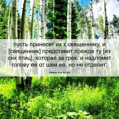 Picture 06 - Левит 5:8 RUSV - пусть принесет их к - Bible Verse Picture