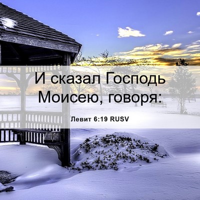 Picture 06 - Левит 6:19 RUSV - И сказал Господь Моисею, - Bible Verse Picture