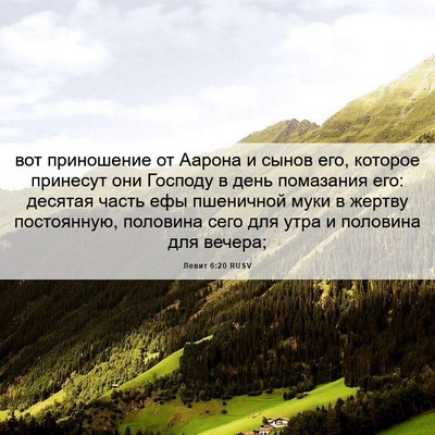 Picture 06 - Левит 6:20 RUSV - вот приношение от Аарона и - Bible Verse Picture