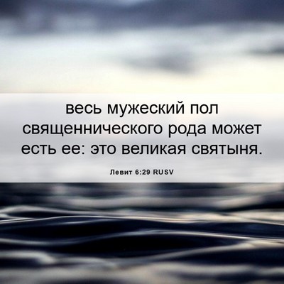 Picture 06 - Левит 6:29 RUSV - весь мужеский пол - Bible Verse Picture