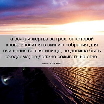 Picture 06 - Левит 6:30 RUSV - а всякая жертва за грех, от - Bible Verse Picture