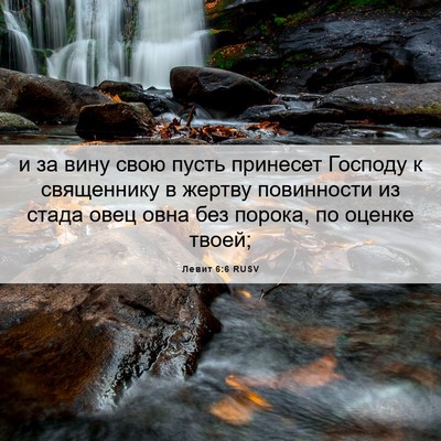 Picture 06 - Левит 6:6 RUSV - и за вину свою пусть - Bible Verse Picture