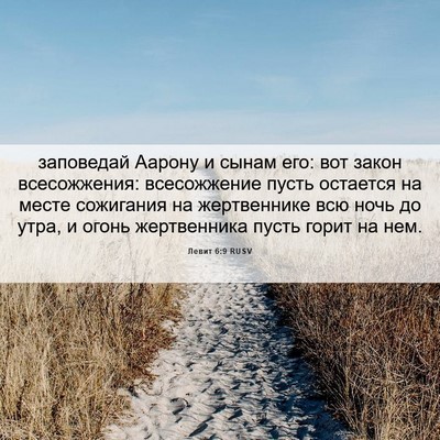 Picture 06 - Левит 6:9 RUSV - заповедай Аарону и сынам - Bible Verse Picture
