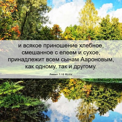 Picture 06 - Левит 7:10 RUSV - и всякое приношение - Bible Verse Picture