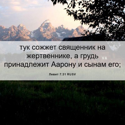 Picture 06 - Левит 7:31 RUSV - тук сожжет священник на - Bible Verse Picture