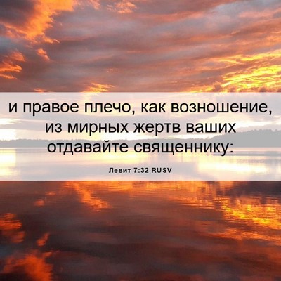 Picture 06 - Левит 7:32 RUSV - и правое плечо, как - Bible Verse Picture