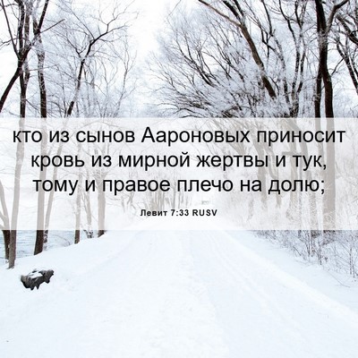 Picture 06 - Левит 7:33 RUSV - кто из сынов Аароновых - Bible Verse Picture