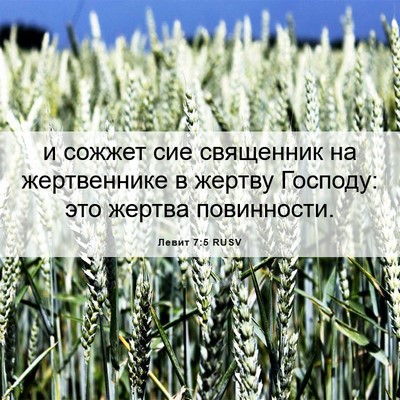 Picture 06 - Левит 7:5 RUSV - и сожжет сие священник на - Bible Verse Picture
