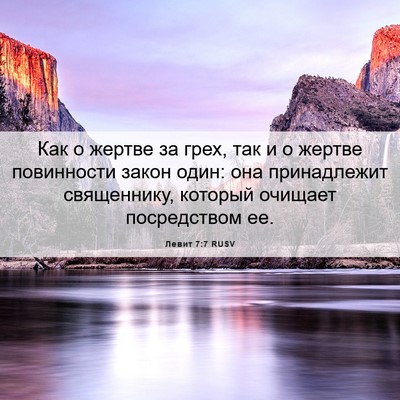 Picture 06 - Левит 7:7 RUSV - Как о жертве за грех, так и - Bible Verse Picture