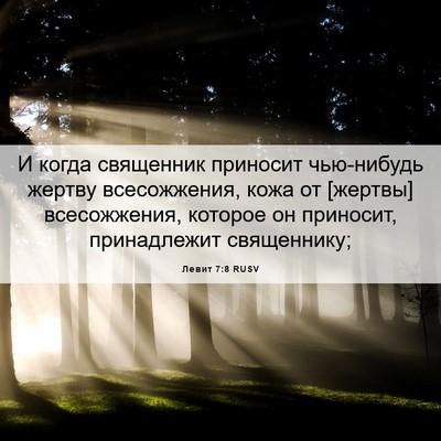 Picture 06 - Левит 7:8 RUSV - И когда священник приносит - Bible Verse Picture