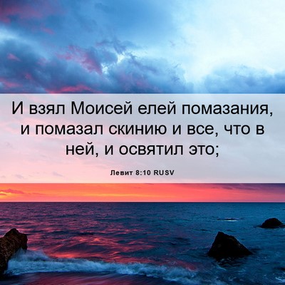 Picture 06 - Левит 8:10 RUSV - И взял Моисей елей - Bible Verse Picture