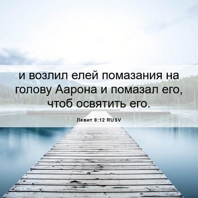 Picture 06 - Левит 8:12 RUSV - и возлил елей помазания на - Bible Verse Picture