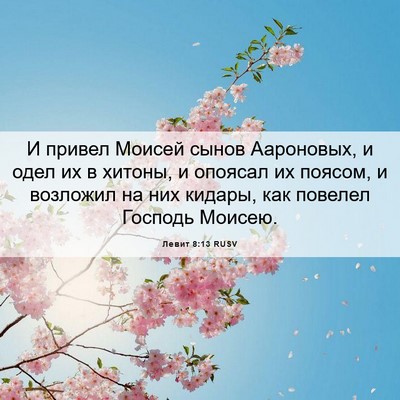 Picture 06 - Левит 8:13 RUSV - И привел Моисей сынов - Bible Verse Picture