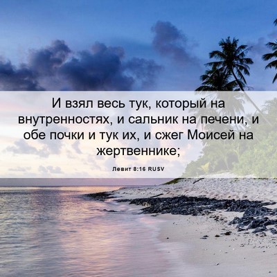 Picture 06 - Левит 8:16 RUSV - И взял весь тук, который на - Bible Verse Picture