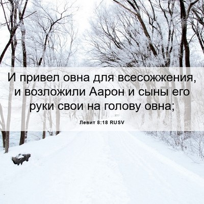 Picture 06 - Левит 8:18 RUSV - И привел овна для - Bible Verse Picture