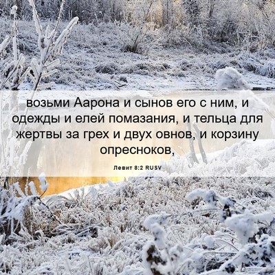 Picture 06 - Левит 8:2 RUSV - возьми Аарона и сынов его с - Bible Verse Picture