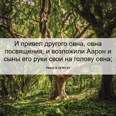 Picture 06 - Левит 8:22 RUSV - И привел другого овна, овна - Bible Verse Picture