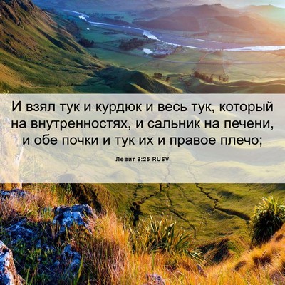 Picture 06 - Левит 8:25 RUSV - И взял тук и курдюк и весь - Bible Verse Picture