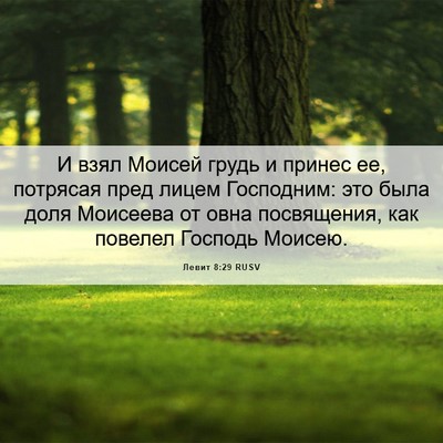 Picture 06 - Левит 8:29 RUSV - И взял Моисей грудь и - Bible Verse Picture