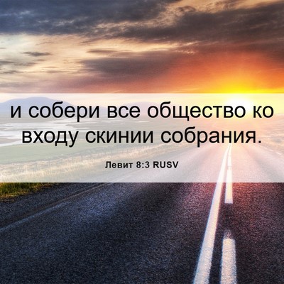 Picture 06 - Левит 8:3 RUSV - и собери все общество ко - Bible Verse Picture