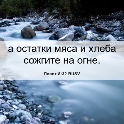 Picture 06 - Левит 8:32 RUSV - а остатки мяса и хлеба - Bible Verse Picture