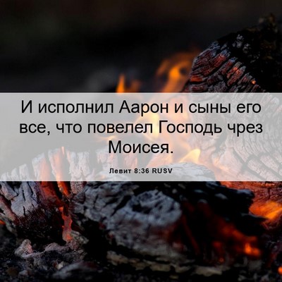 Picture 06 - Левит 8:36 RUSV - И исполнил Аарон и сыны его - Bible Verse Picture