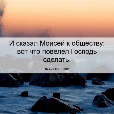 Picture 06 - Левит 8:5 RUSV - И сказал Моисей к обществу: - Bible Verse Picture