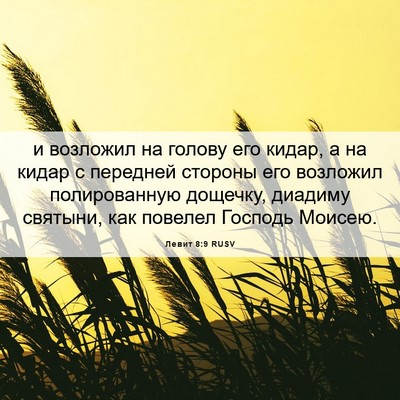 Picture 06 - Левит 8:9 RUSV - и возложил на голову его - Bible Verse Picture