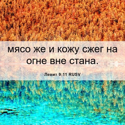 Picture 06 - Левит 9:11 RUSV - мясо же и кожу сжег на огне - Bible Verse Picture