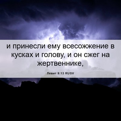 Picture 06 - Левит 9:13 RUSV - и принесли ему всесожжение - Bible Verse Picture