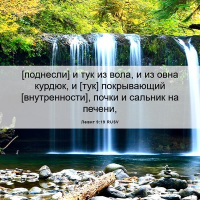 Picture 06 - Левит 9:19 RUSV - [поднесли] и тук из вола, и - Bible Verse Picture