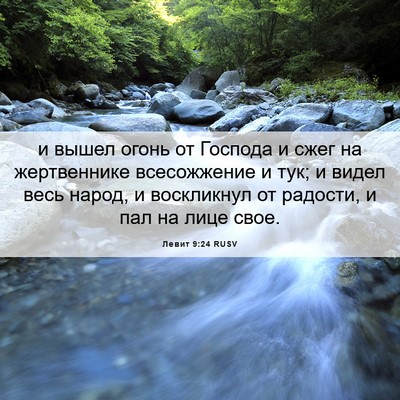 Picture 06 - Левит 9:24 RUSV - и вышел огонь от Господа и - Bible Verse Picture